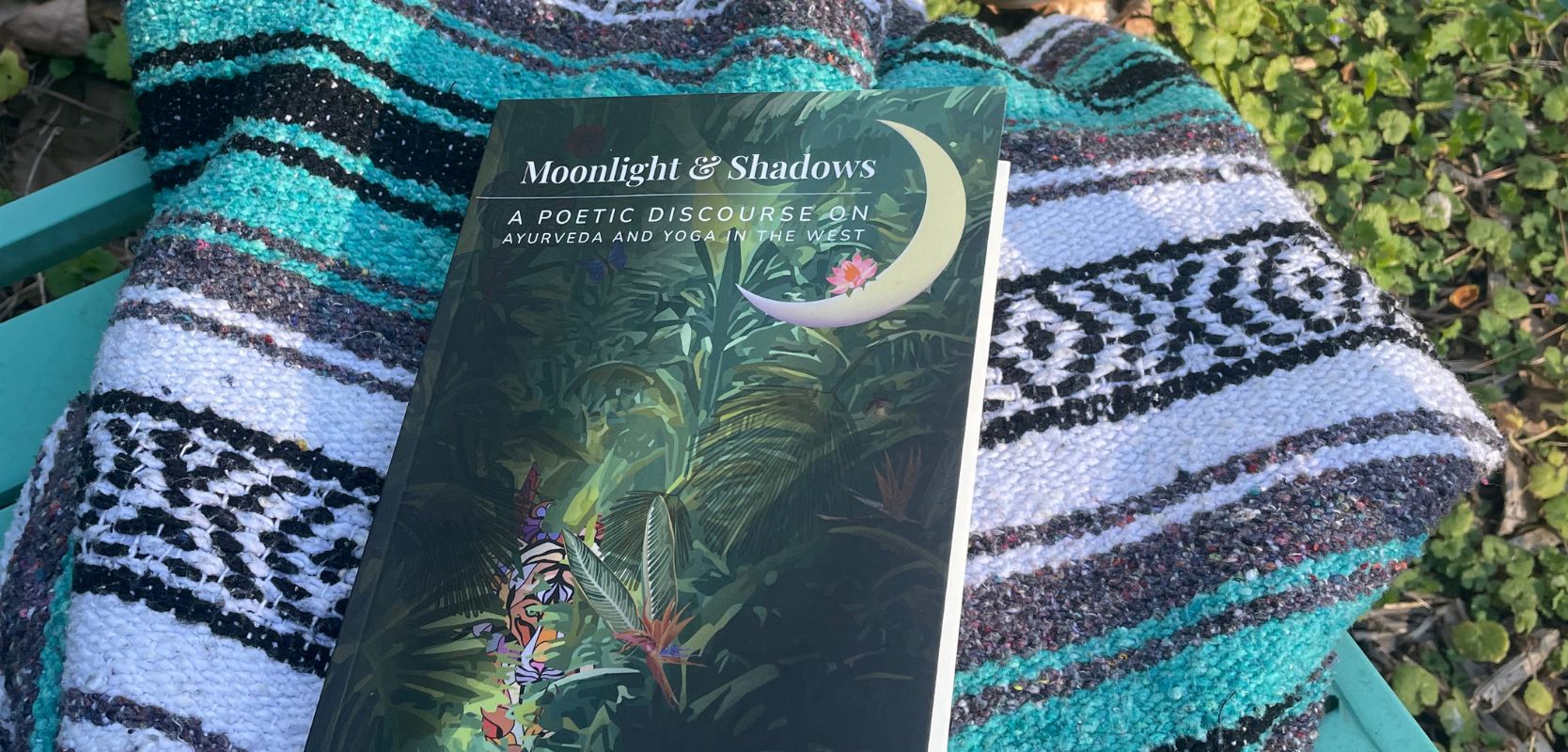 Featured image for “Moonlight & Shadows book launch at the 2023 NAMA Conference”